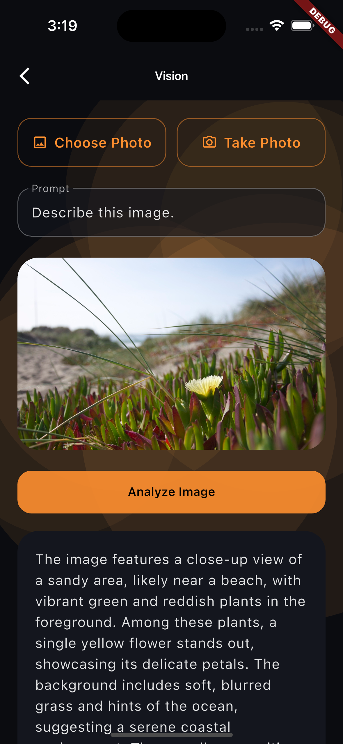 AI chat feature demo in Flutter template