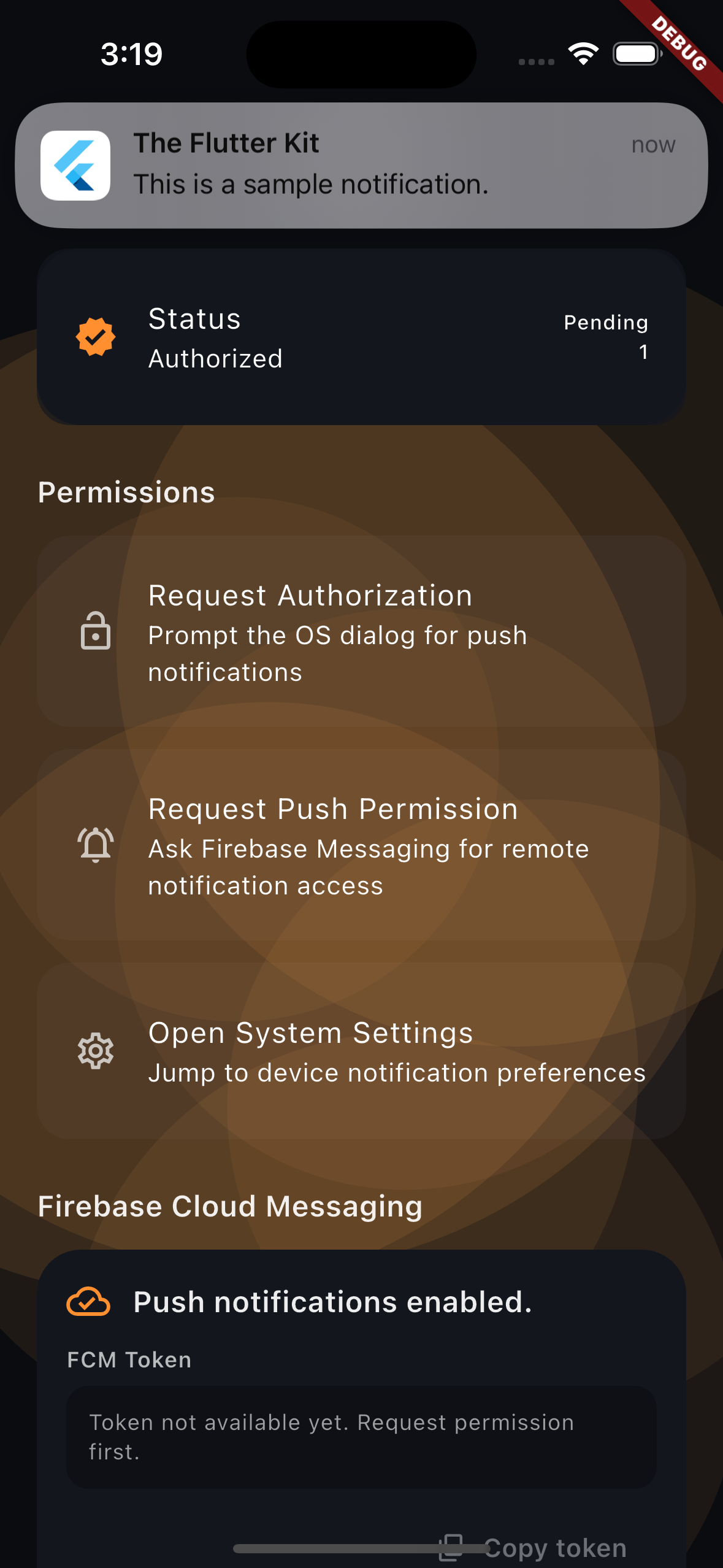 Push notification preferences and FCM diagnostics